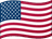 Flag for us